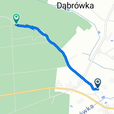 Świerczów 130A, Kolbuszowa do Dąbrówka, Cmolas