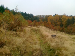 Highlight 13 along the Bikemap route "trasa treningowa 1"