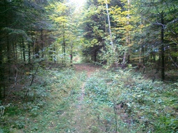 Highlight 8 along the Bikemap route "trasa treningowa 1"
