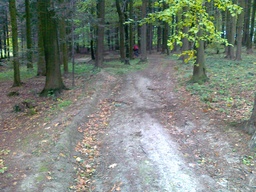 Highlight 7 along the Bikemap route "trasa treningowa 1"