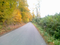 Highlight 2 along the Bikemap route "trasa treningowa 1"