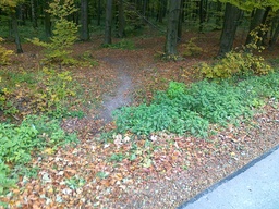 Highlight 5 along the Bikemap route "trasa treningowa 1"