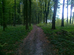 Highlight 9 along the Bikemap route "trasa treningowa 1"