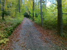 Highlight 11 along the Bikemap route "trasa treningowa 1"