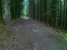 Highlight 12 along the Bikemap route "trasa treningowa 1"