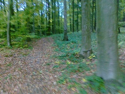 Highlight 6 along the Bikemap route "trasa treningowa 1"