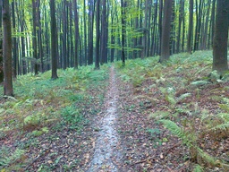 Highlight 14 along the Bikemap route "trasa treningowa 1"