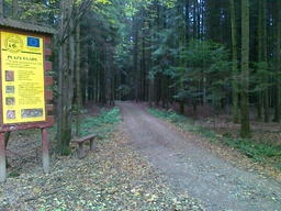 Highlight 10 along the Bikemap route "trasa treningowa 1"