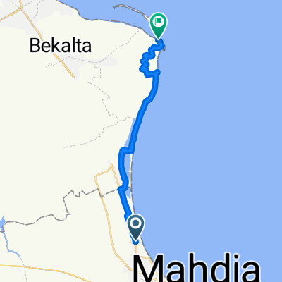 Mahdia-Thapsus-Hafen-Insel