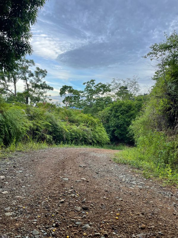 La platanilla,Villanueva de Quepos