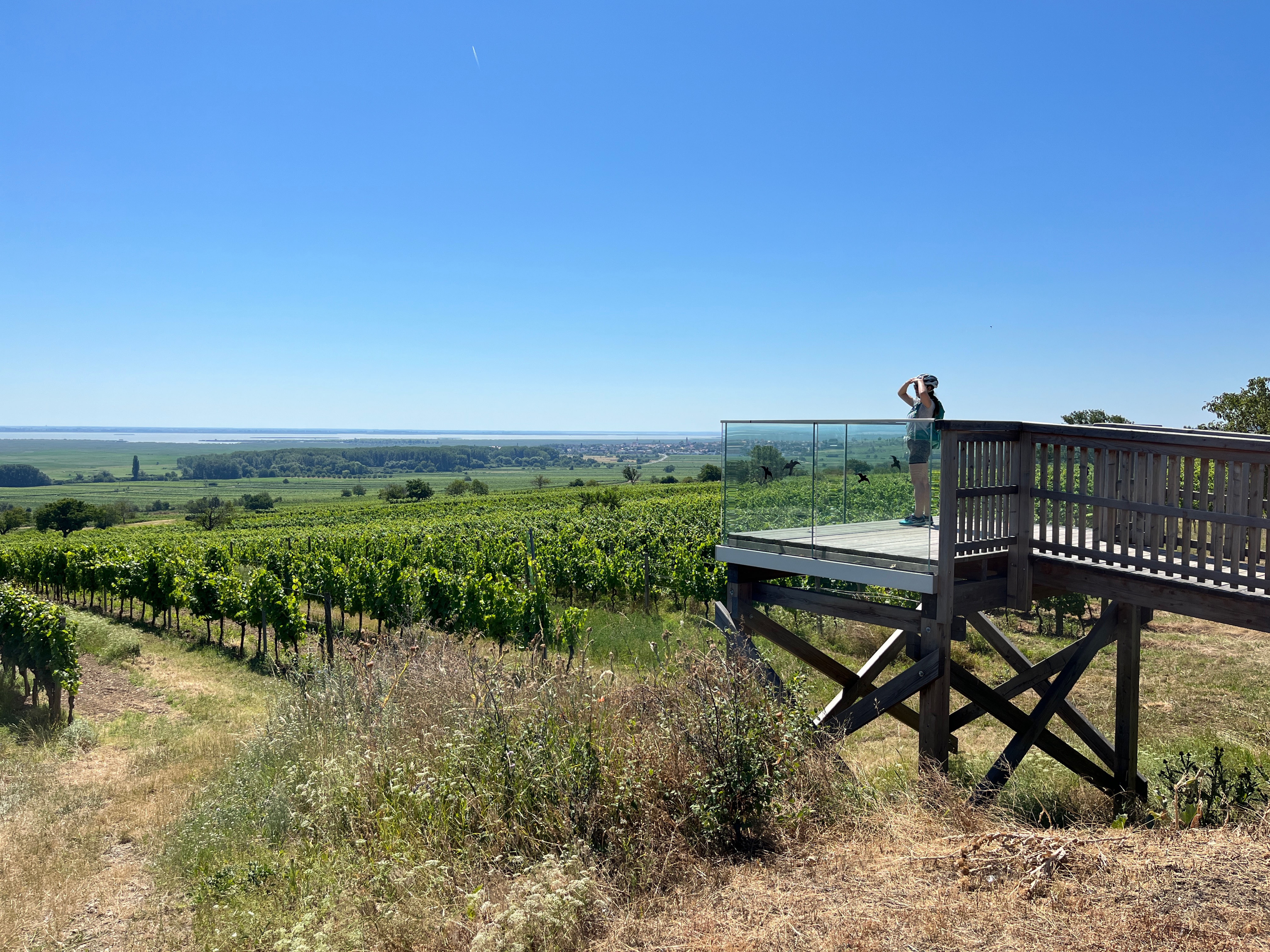Weinbergrunde Rust