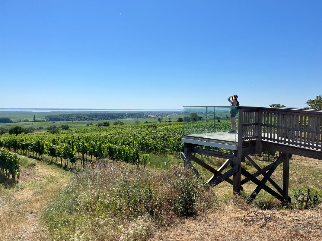 Weinbergrunde Rust