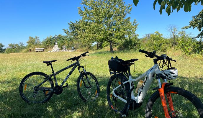 Photo 1 of the Bikemap route "Weinbergrunde Rust"