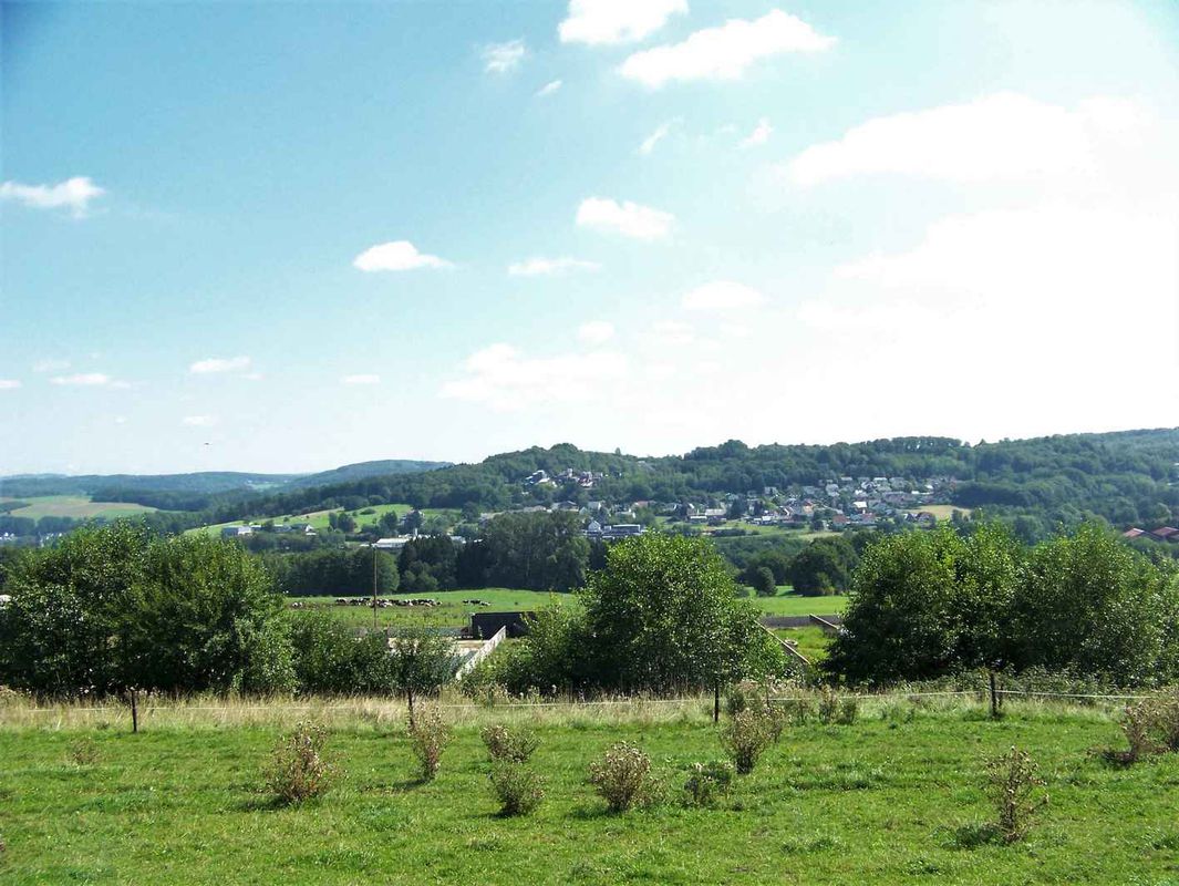 Wied, Kroppacher Schweiz, Norken, Nistertal, Dreifelder Weiher