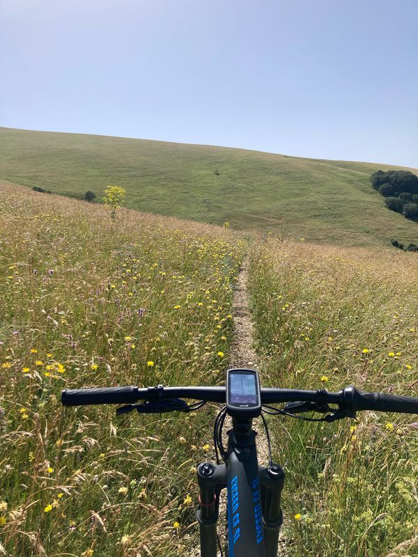 Assisi Cycling