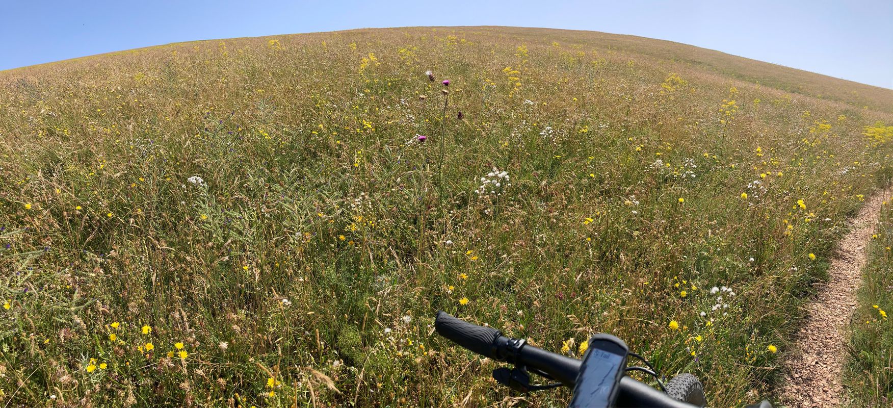 Assisi Cycling