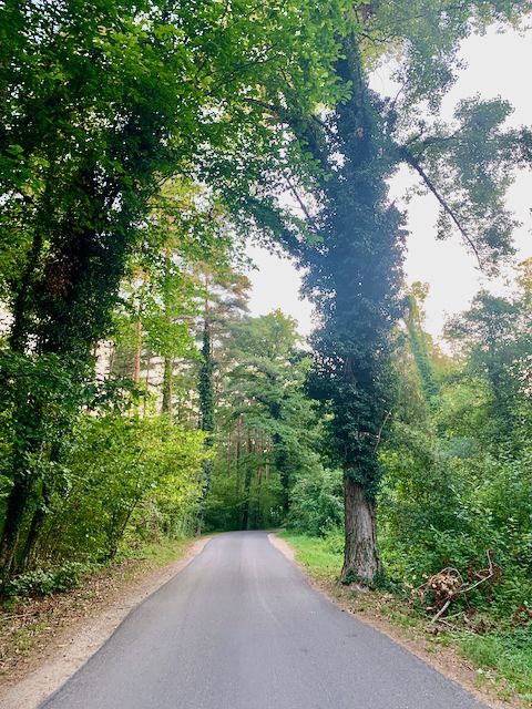 Yverdon - Solothurn