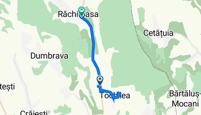 DJ241, Tochilea to Răchitoasa