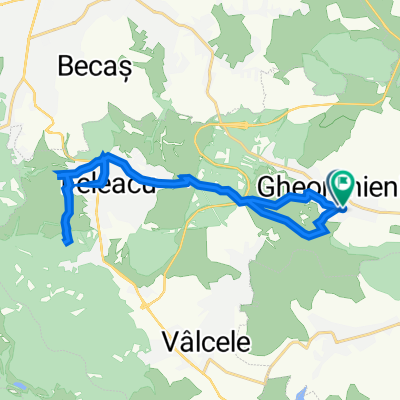 Route to Str. Principală 391, Gheorghieni