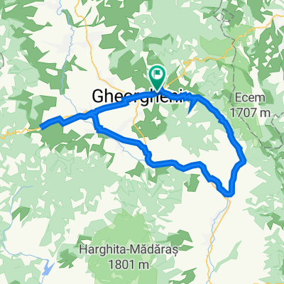 Gheorgheni Tour (long)