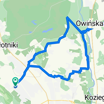 Strzeszyn-Owińska
