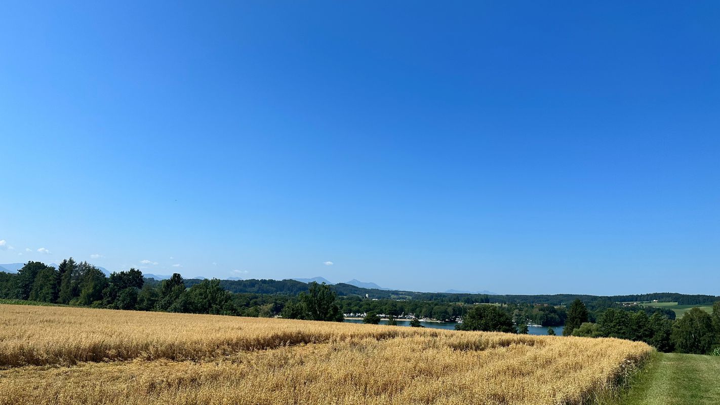 Waging am See - Radwegtour