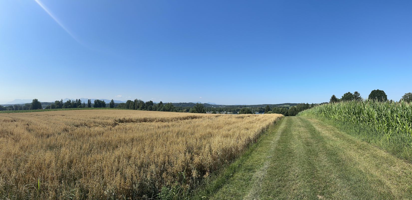 Waging am See - Radwegtour