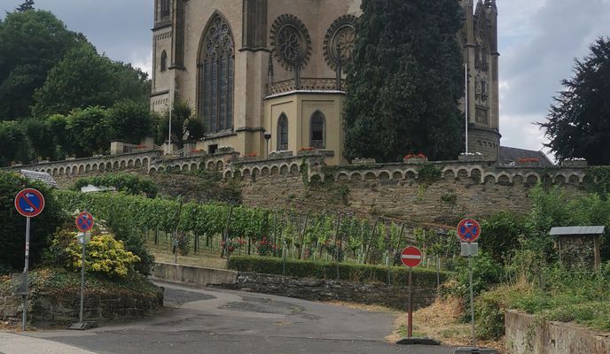 Photo 1 of the Bikemap route "Siebengebirge, Oelberg, Linz, Remagen"