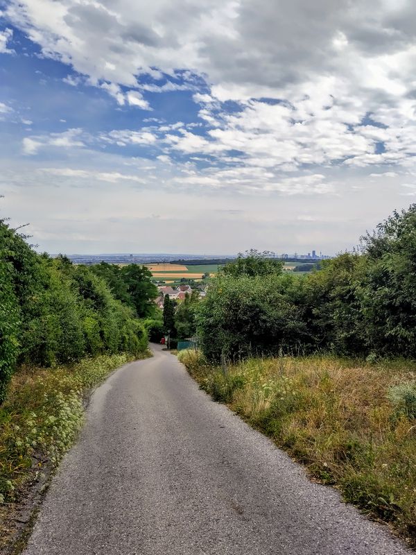 Großer Bisamberg Bosna Gravel
