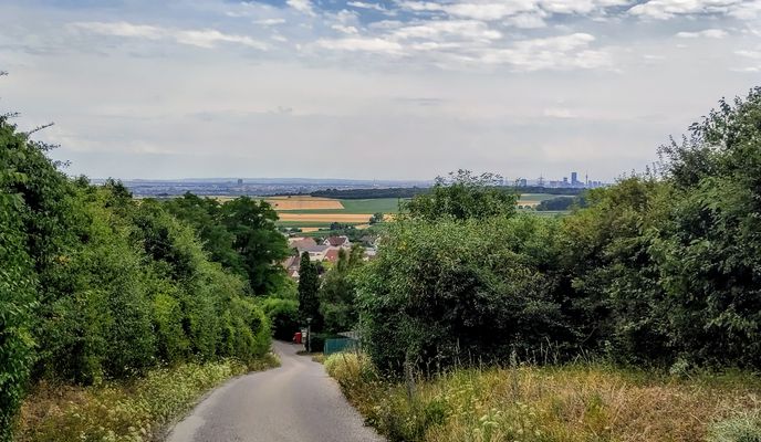 Foto 2 del percorso Bikemap "Großer Bisamberg Bosna Gravel"
