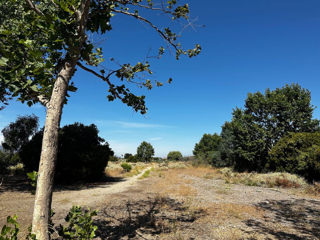 Soledad Canyon Rd to Discovery Park