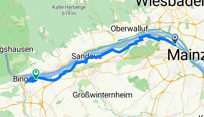 Rheinallee 94, Mainz nach Rochusberg 11, Bingen am Rhein
