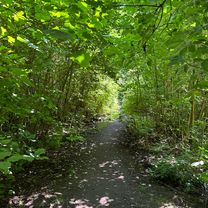 Nagrane przez Apple Watch na 23.07 o 12:59.