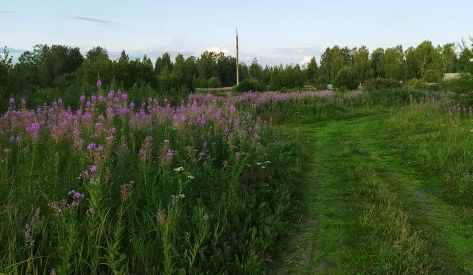 Foto 2 der Bikemap-Route "От улица Свердлова 67 кв.55, Кировград до улица Свердлова 69, Кировград"