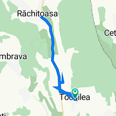 Strada Aslău, Tochilea to Strada Aslău, Tochilea