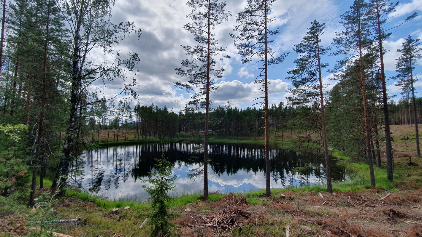 Treungen to Åmli