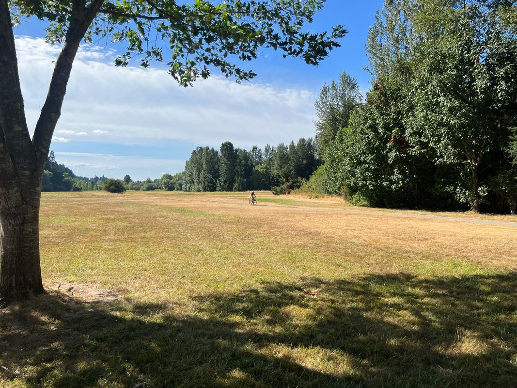 Salmon Creek Trail, Vancouver to Salmon Creek Trail, Vancouver