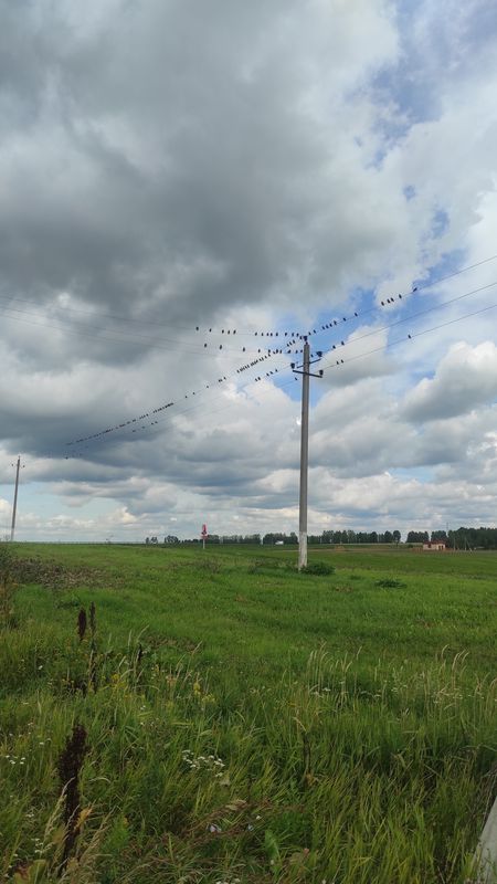 за грибами 🤣