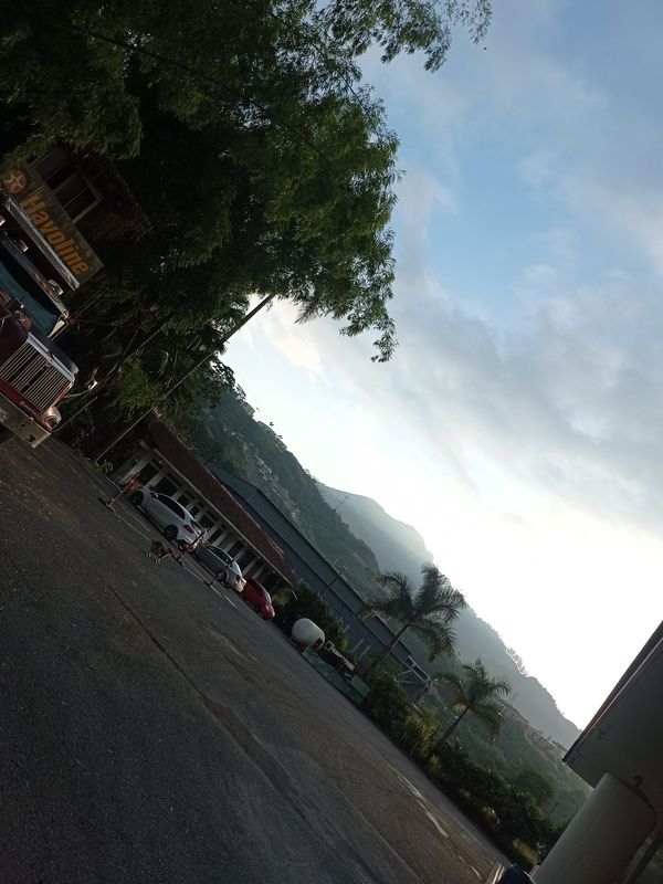 De Pereira a Pereira