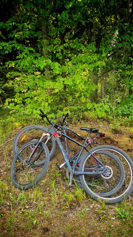 за грибами 2🤣