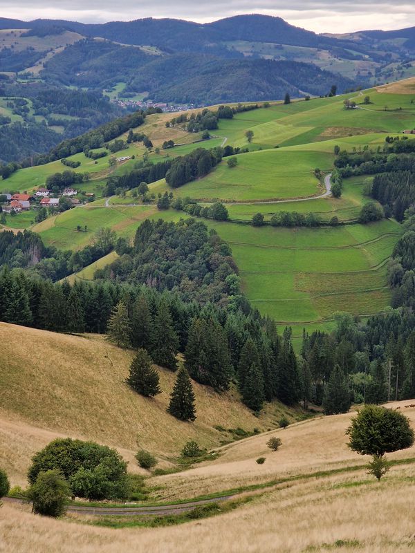 Demberg - Herrenschwand