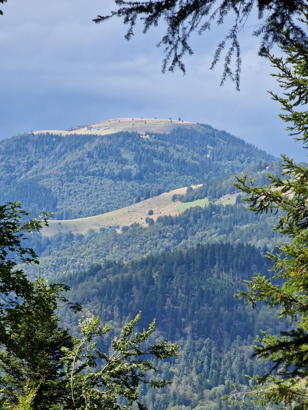 Demberg - Herrenschwand