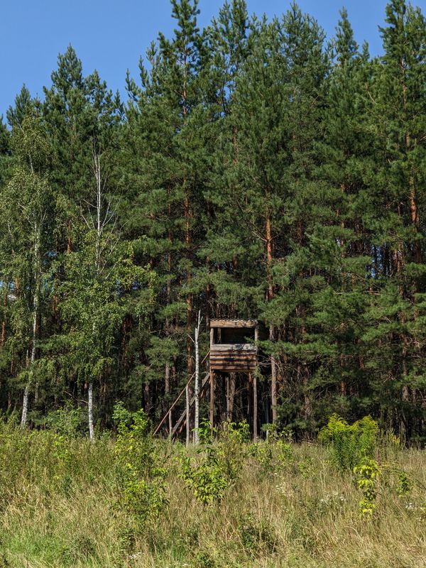 Маршрут до 2ї частини Томилівського лісу. Переїзд під трасою. Середній по складності. Озеро, ліс, річка