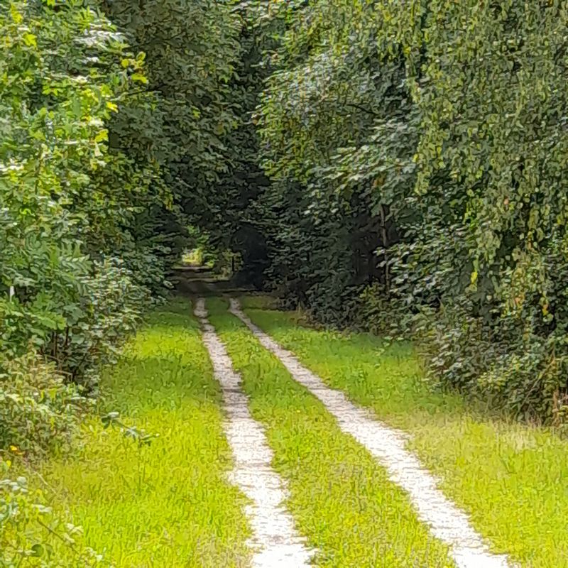 Schloßberg 1B, Altenburg nach Wenzelstraße 43, Altenburg