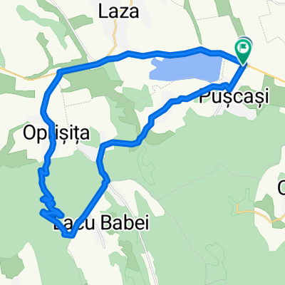 Puscasi - Oprisita - Lacul Babei - Fantana Blanarului - Teisorul - Poiana lui Alexa - Puscasi