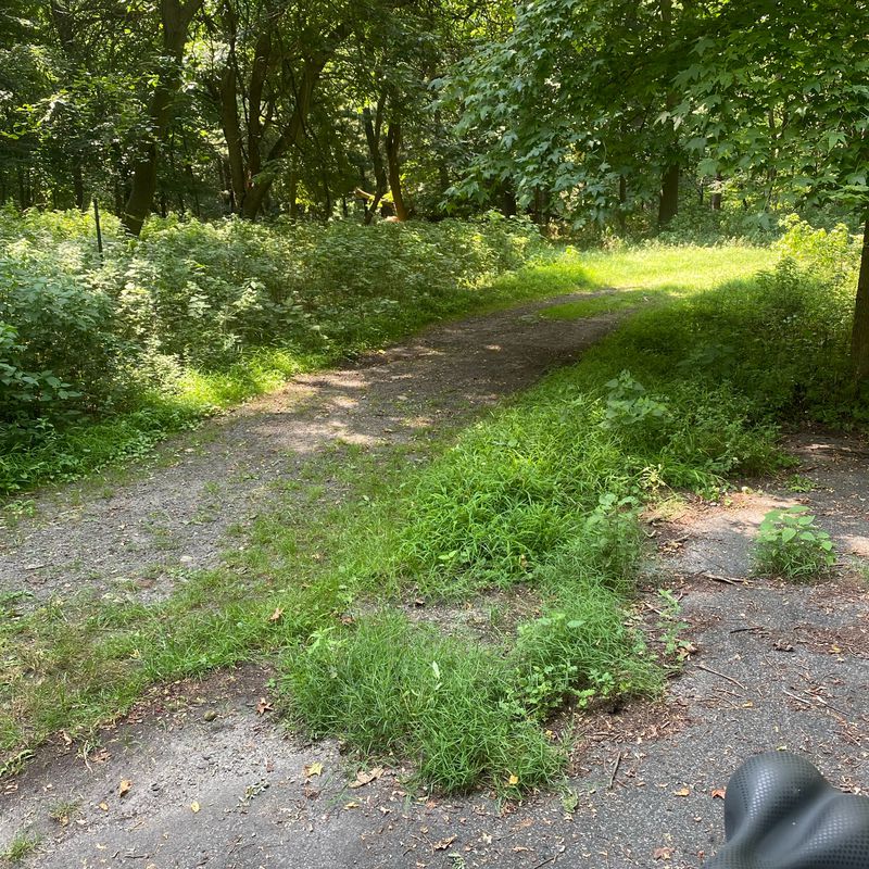 Route from 299 Wolfs Ln, Pelham