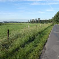 Photo 7 of the Bikemap route "Schloss Gartrop - Hünxer Wald"