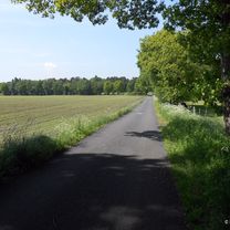 Schloss Gartrop - Hünxer Wald