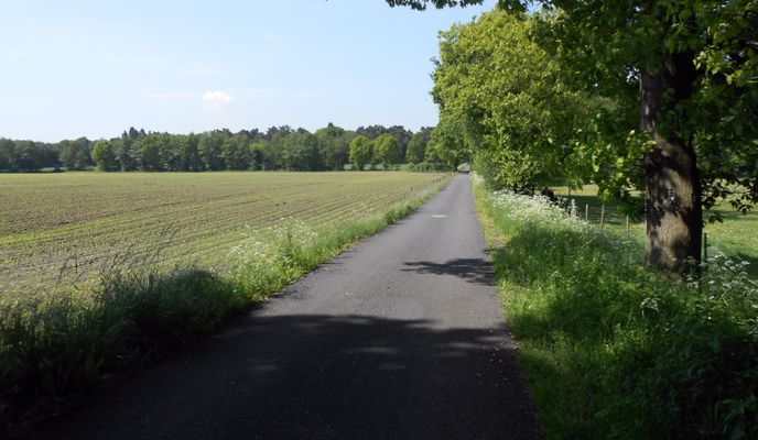 Photo 1 of the Bikemap route "Schloss Gartrop - Hünxer Wald"