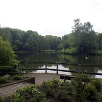 Photo 8 of the Bikemap route "Schloss Gartrop - Hünxer Wald"